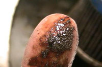 fm_finger